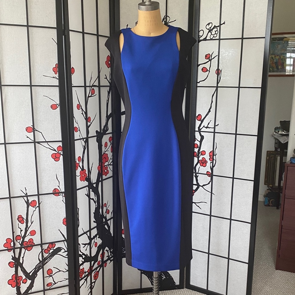 Maggy London Blue and Black Contrast Midi Dress